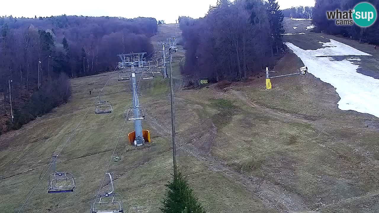 Webcam Pohorje Trikotna Jasa | Poštela