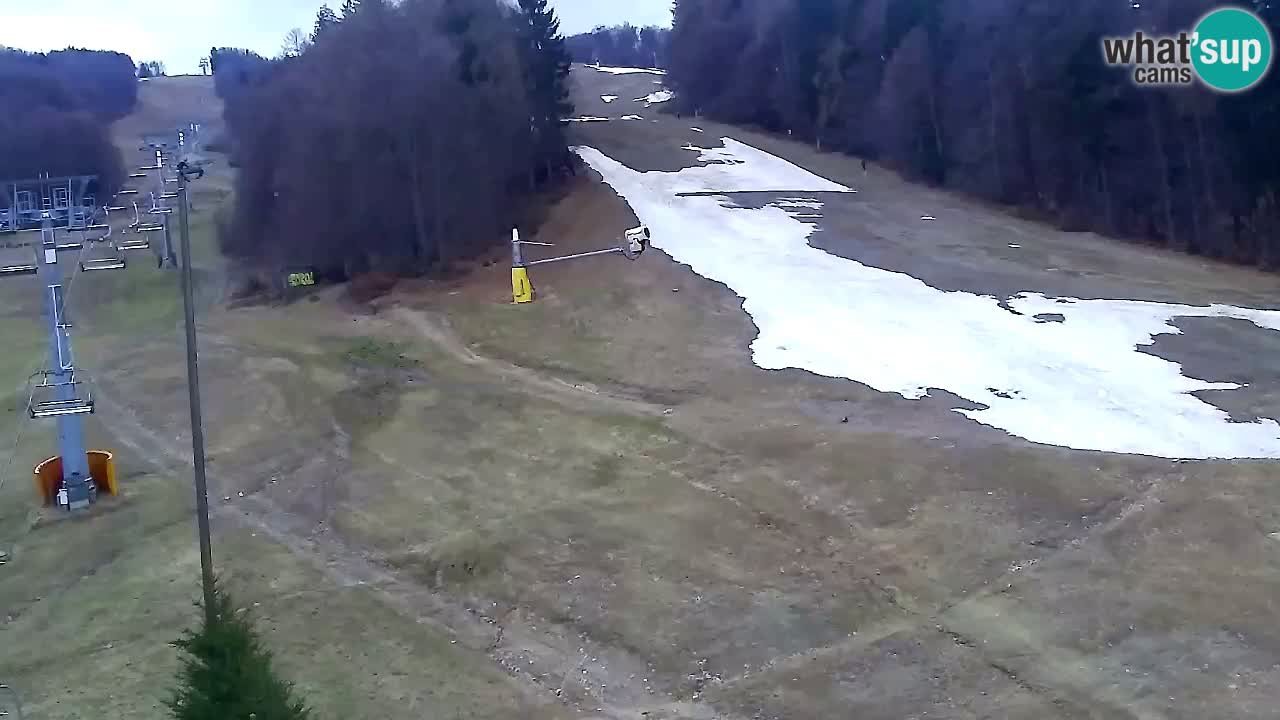Spletna Kamera Pohorje Trikotna Jasa | Poštela