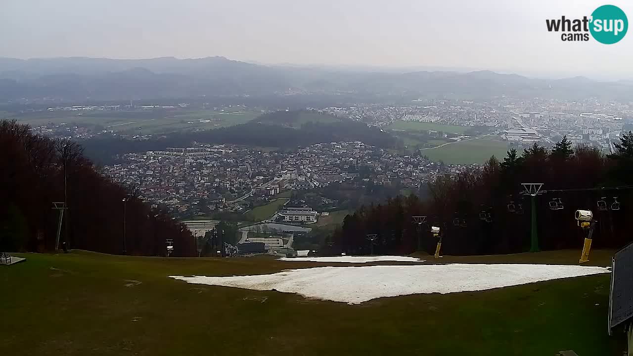 Webcam Pohorje Trikotna Jasa | Poštela