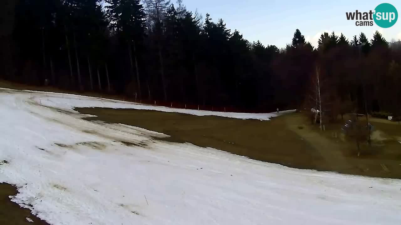 Webcam Pohorje Trikotna Jasa | Poštela