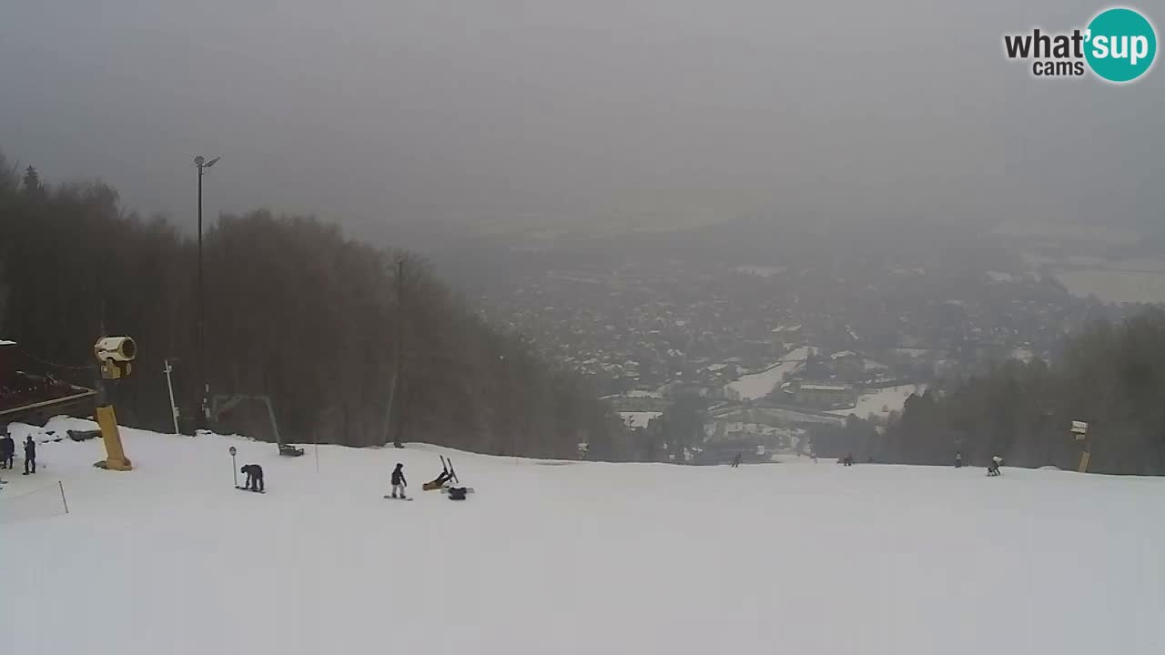 Webcam Pohorje Trikotna Jasa | Poštela