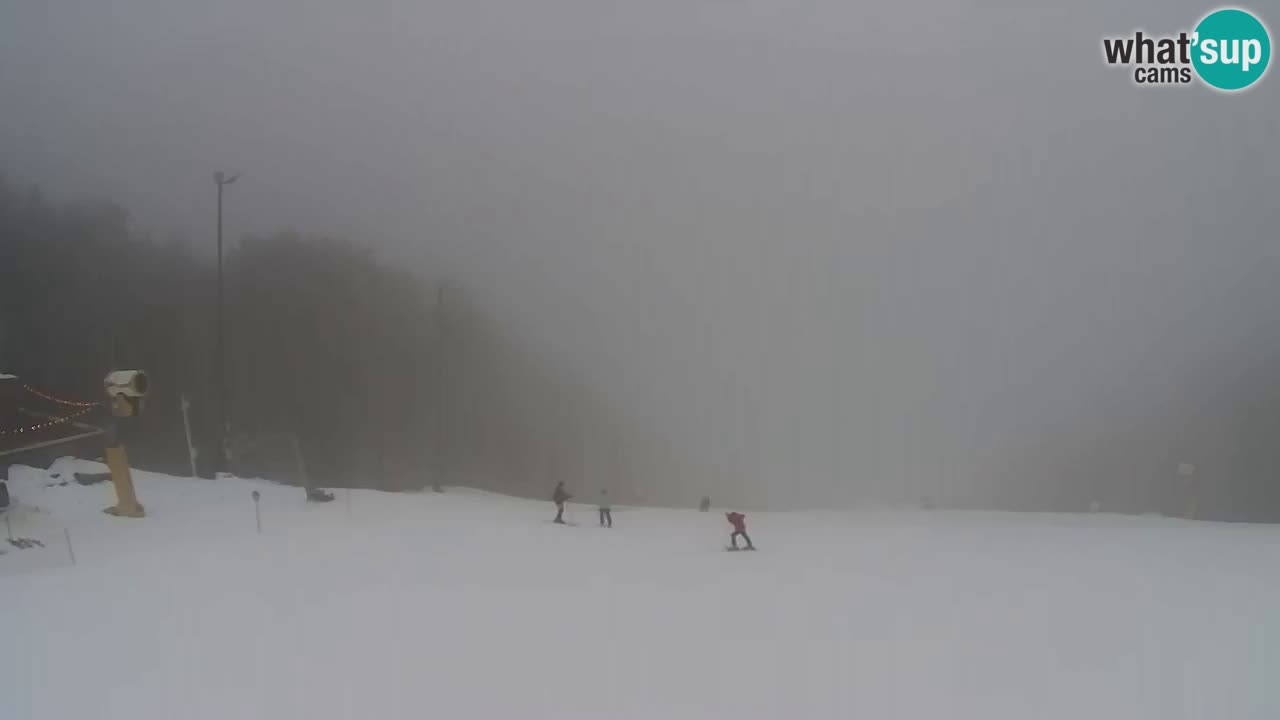 Web Camera Pohorje Trikotna Jasa | Poštela