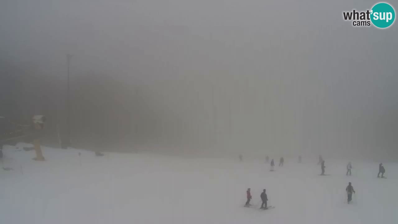 Spletna Kamera Pohorje Trikotna Jasa | Poštela