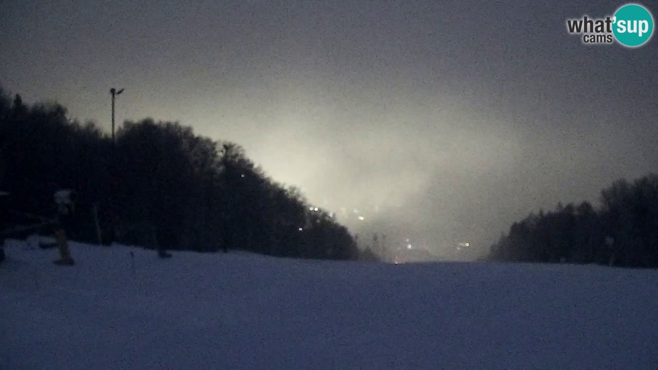 Webcam Pohorje Trikotna Jasa | Poštela