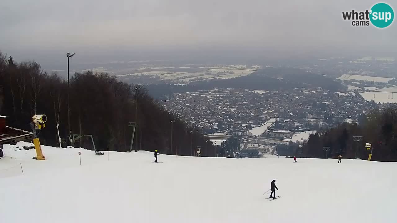 Webcam Pohorje Trikotna Jasa | Poštela