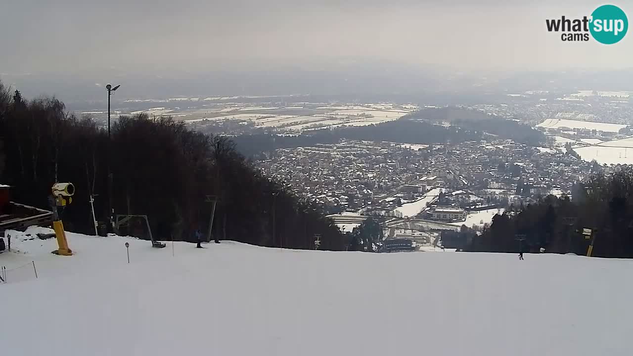Webcam Pohorje Trikotna Jasa | Poštela