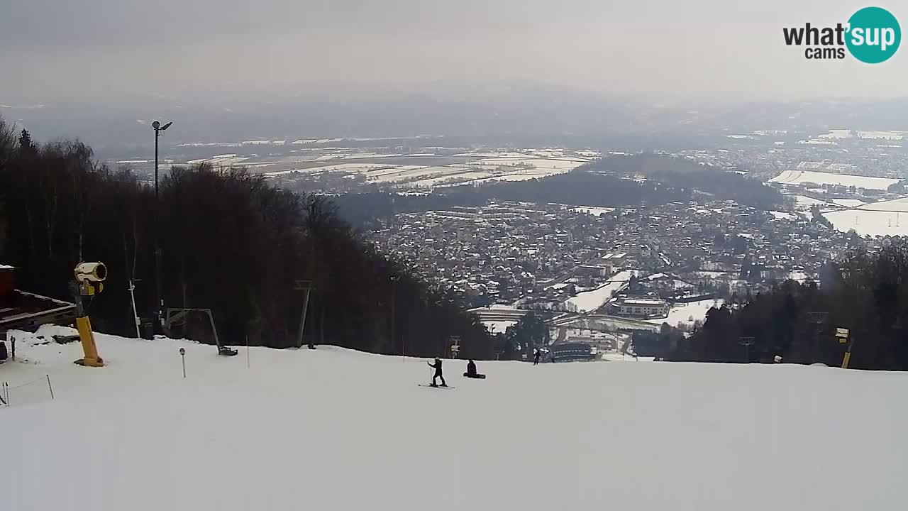Webcam Pohorje Trikotna Jasa | Poštela