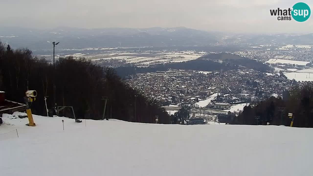 Webcam Pohorje Trikotna Jasa | Poštela