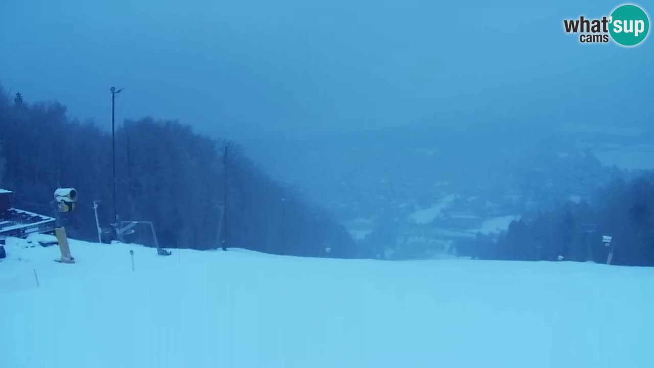 Webcam Pohorje Trikotna Jasa | Poštela