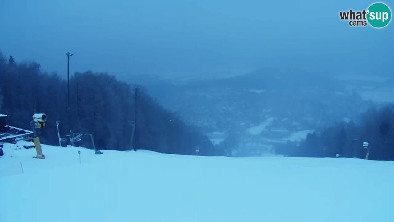 Webcam Pohorje Trikotna Jasa | Poštela