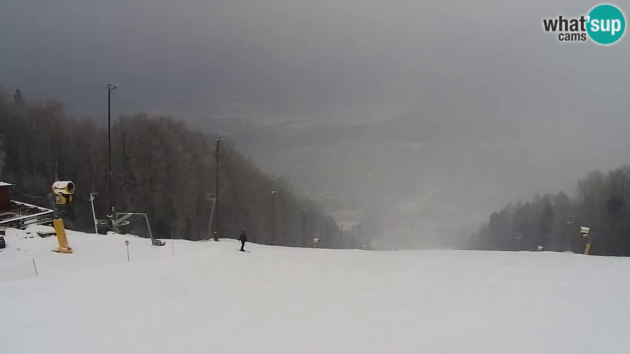 Webcam Pohorje Trikotna Jasa | Poštela
