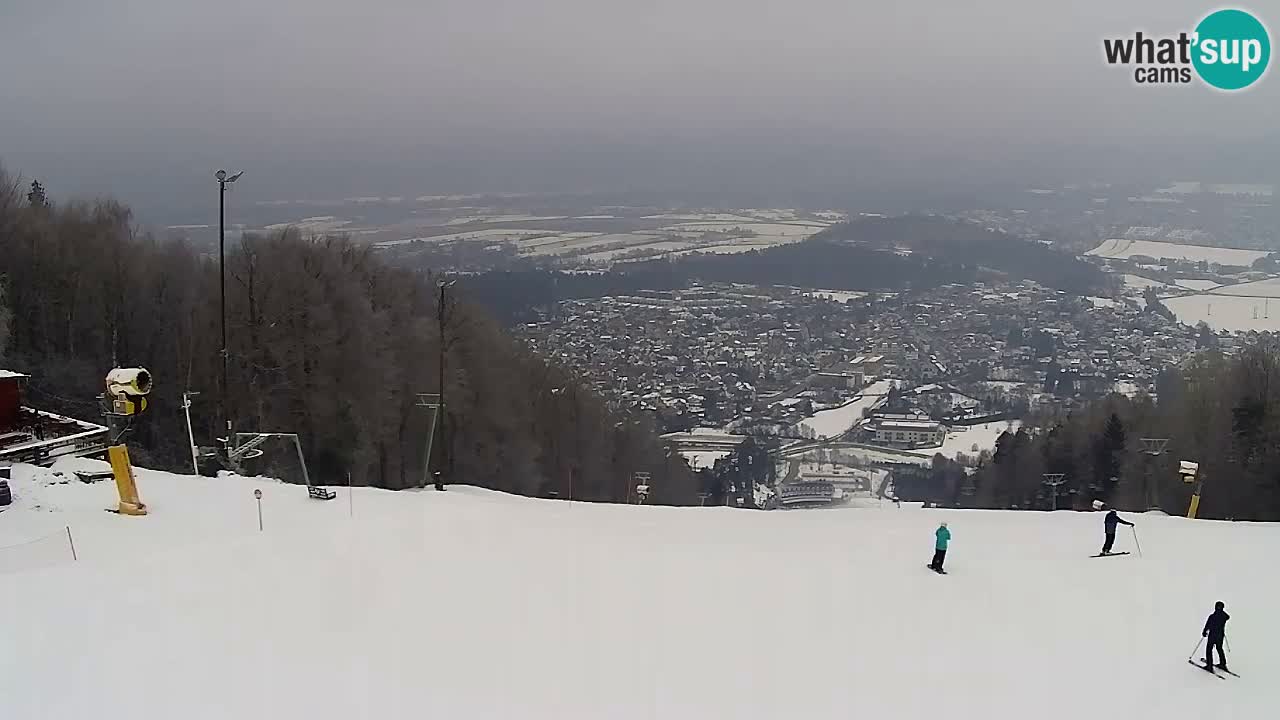 Web Camera Pohorje Trikotna Jasa | Poštela
