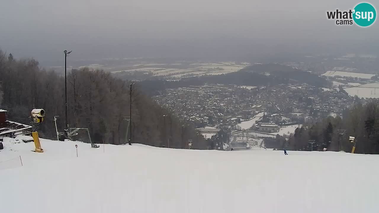 Web Camera Pohorje Trikotna Jasa | Poštela