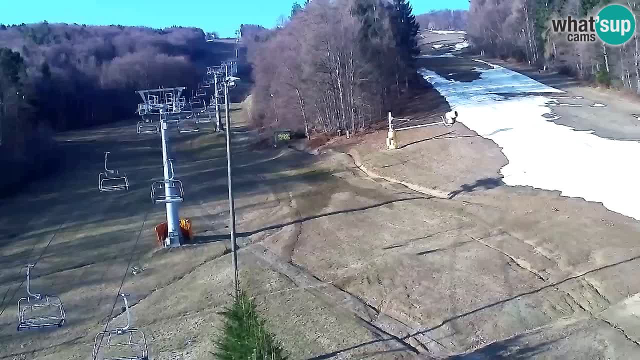 Webcam Pohorje Trikotna Jasa | Poštela