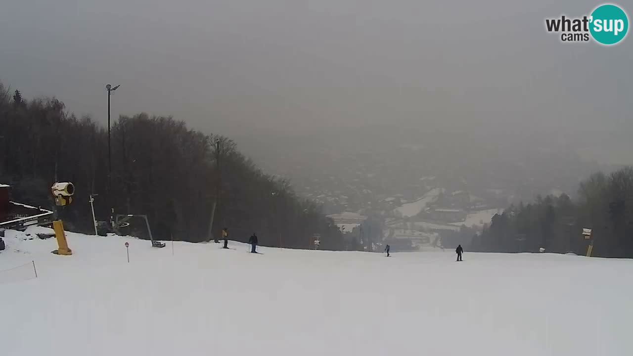Web Camera Pohorje Trikotna Jasa | Poštela