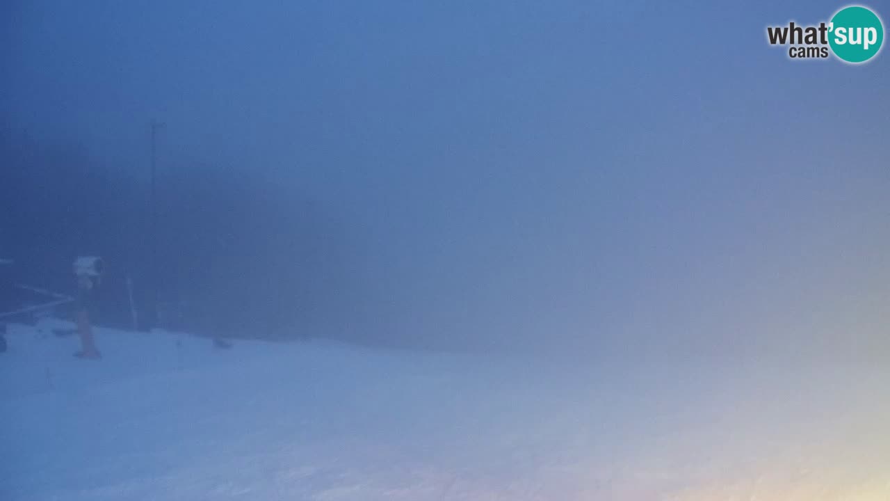 Webcam Pohorje Trikotna Jasa | Poštela