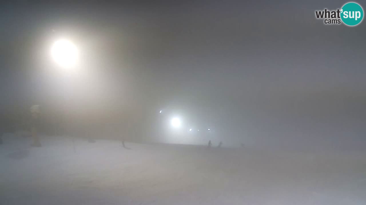 Web Camera Pohorje Trikotna Jasa | Poštela