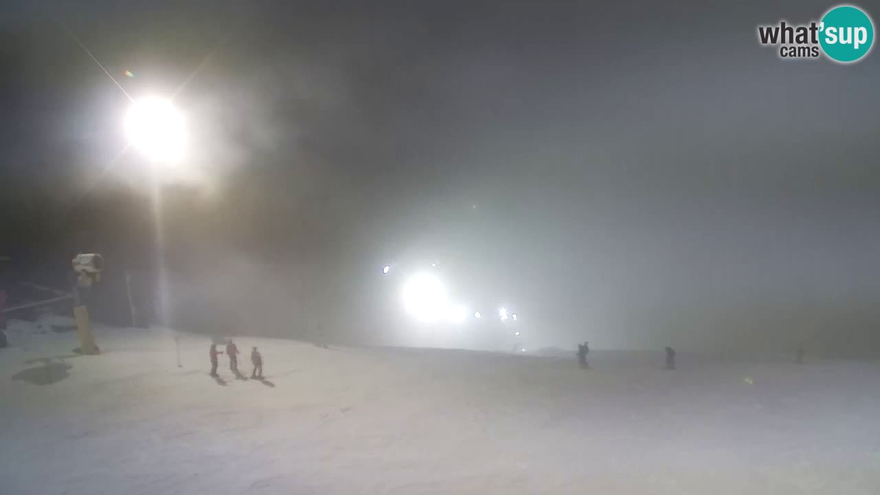 Webcam Pohorje Trikotna Jasa | Poštela