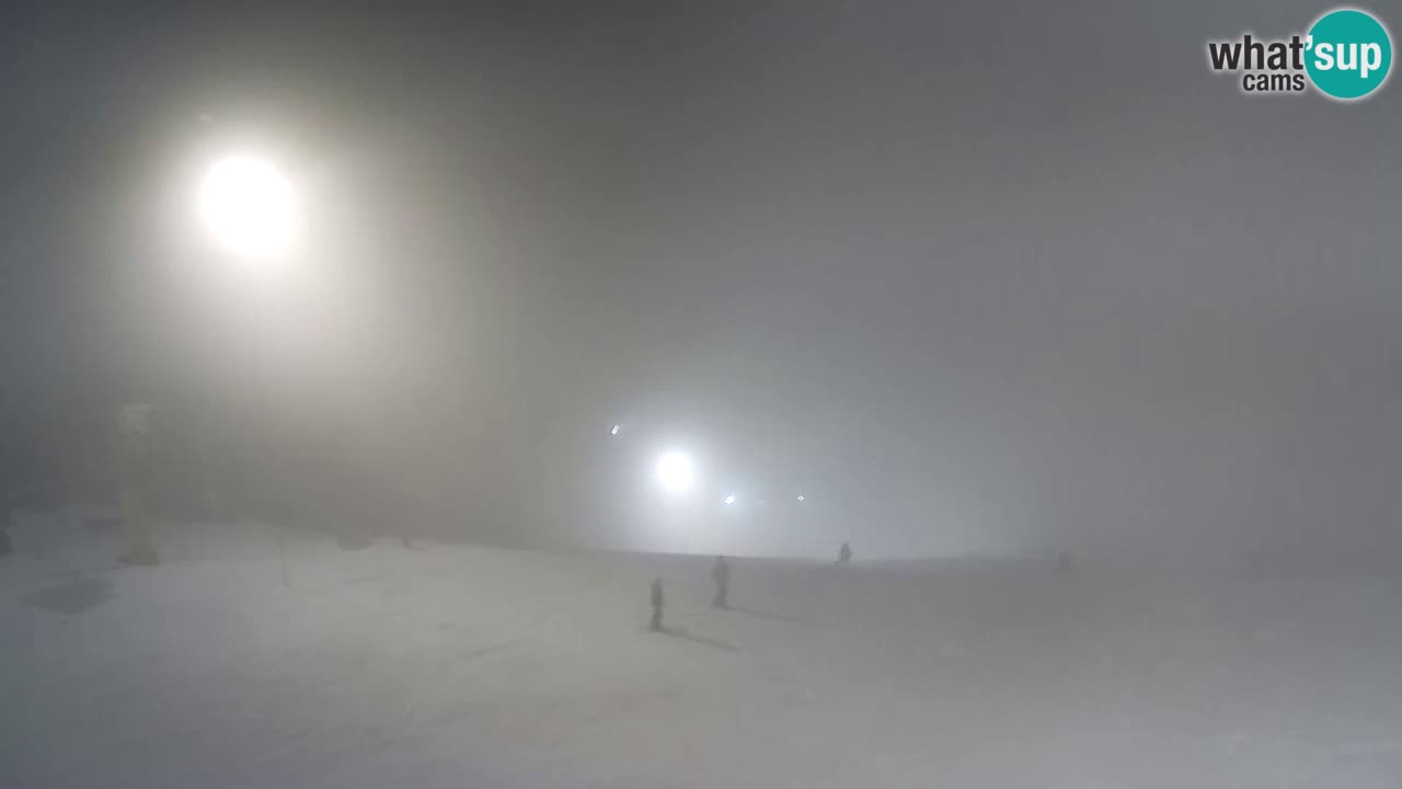 Web Camera Pohorje Trikotna Jasa | Poštela