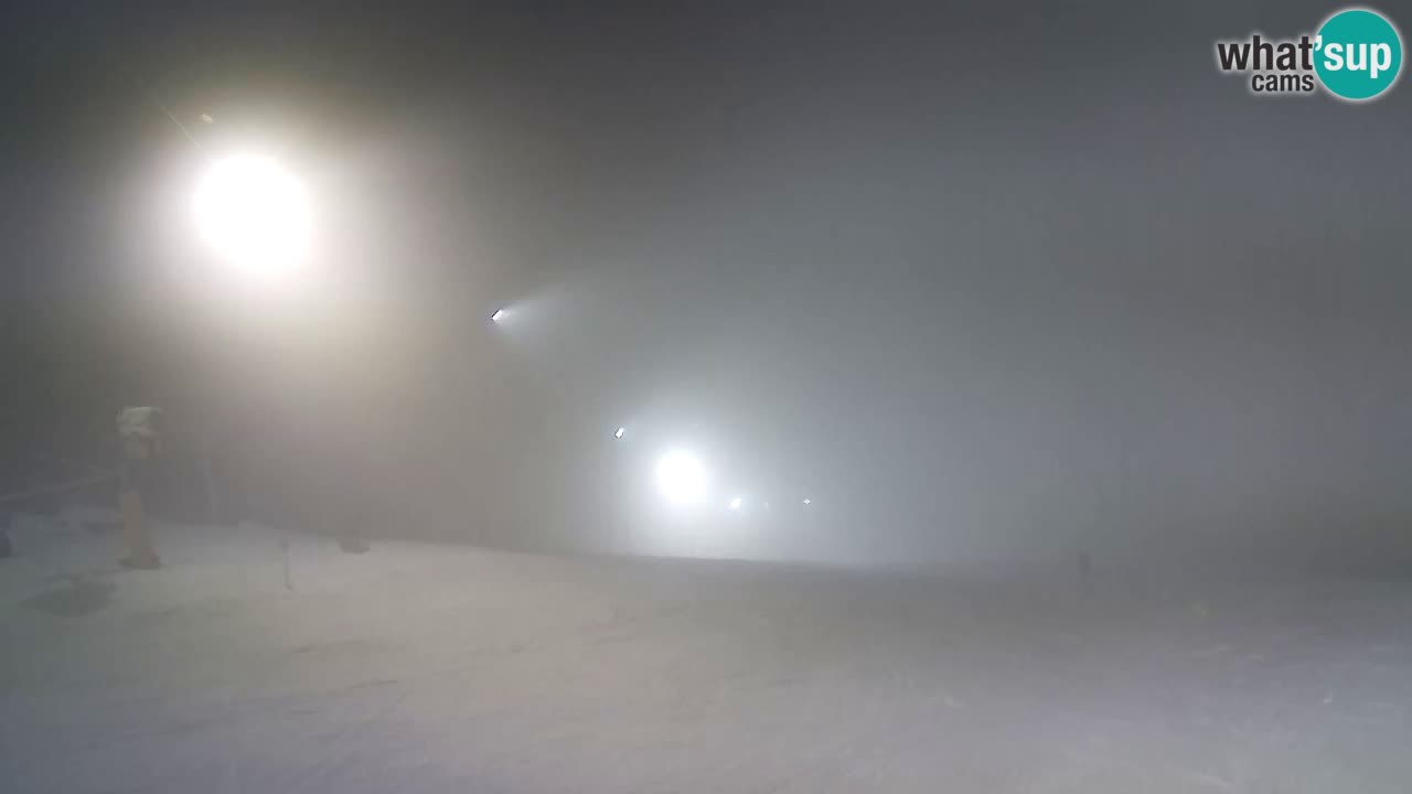 Webcam Pohorje Trikotna Jasa | Poštela