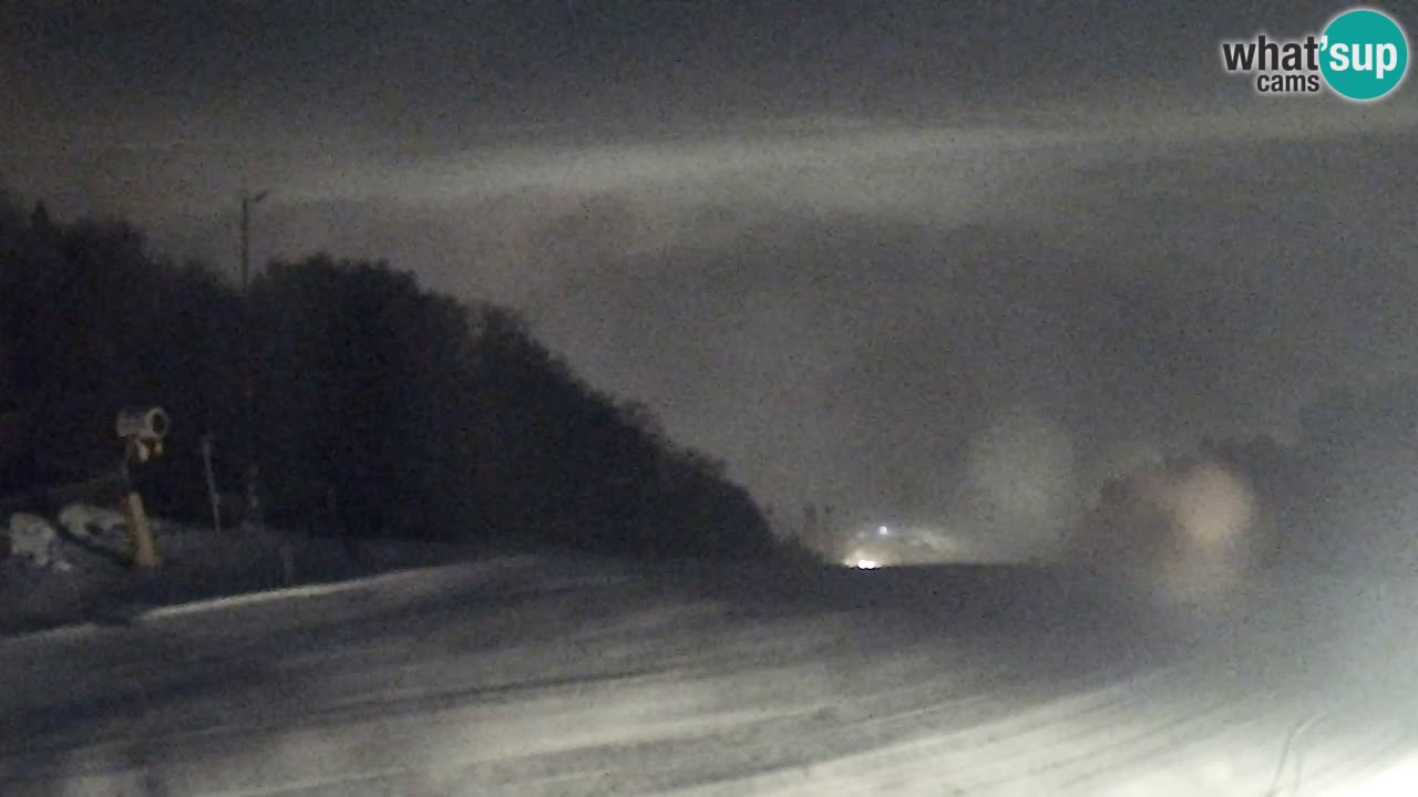 Webcam Pohorje Trikotna Jasa | Poštela