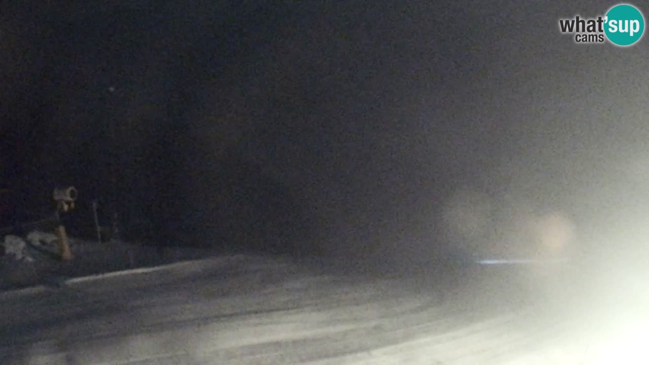 Web Camera Pohorje Trikotna Jasa | Poštela