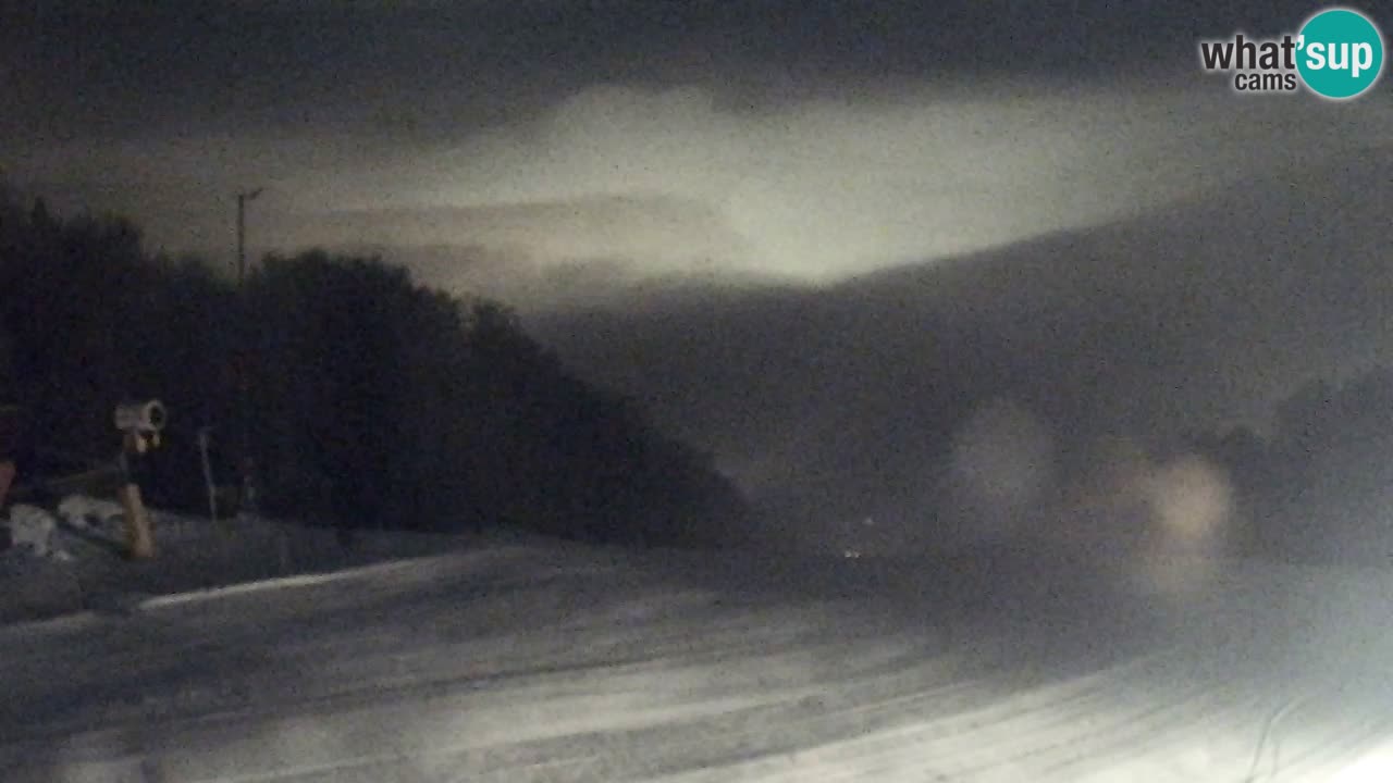 Webcam Pohorje Trikotna Jasa | Poštela