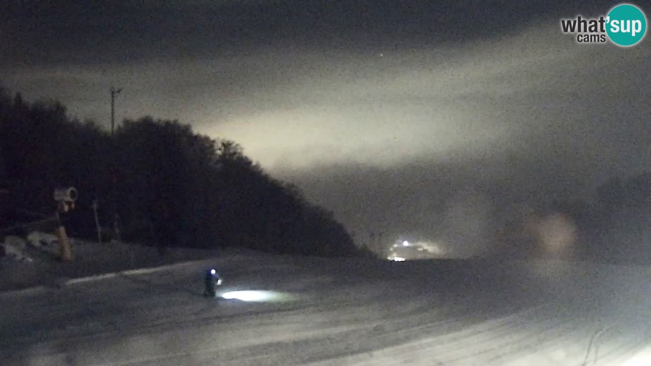 Web Camera Pohorje Trikotna Jasa | Poštela