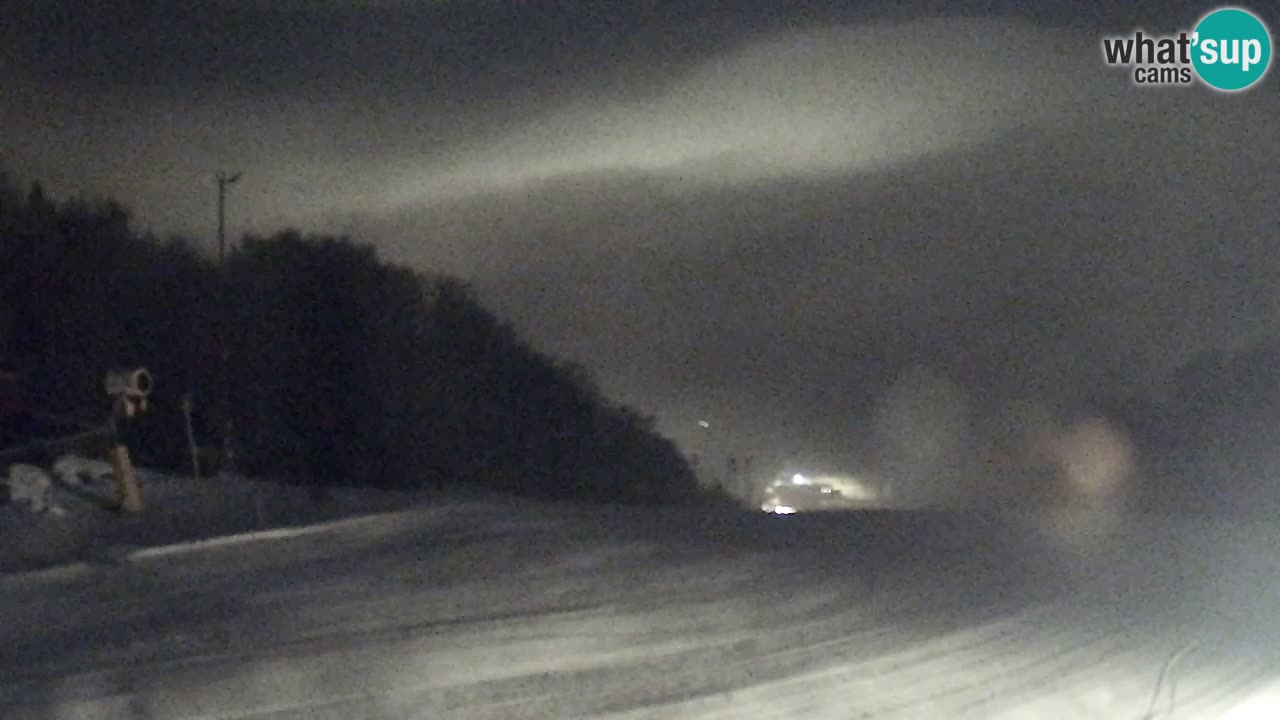 Webcam Pohorje Trikotna Jasa | Poštela