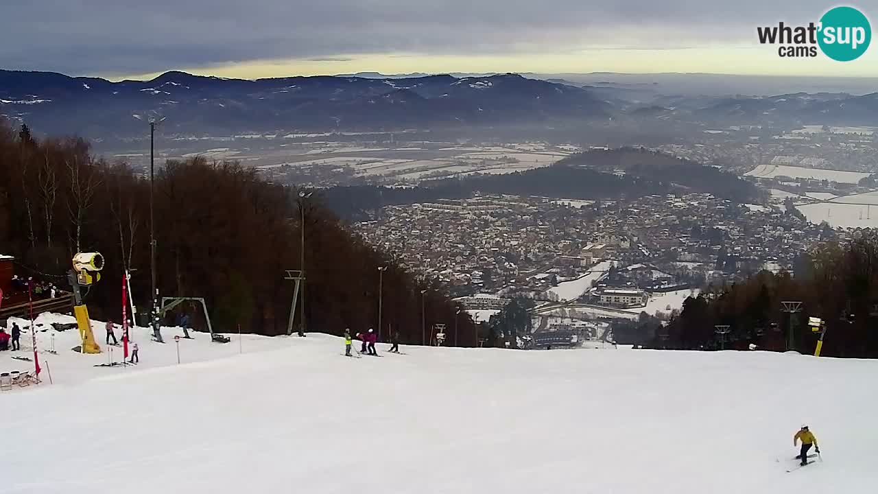 Webcam Pohorje Trikotna Jasa | Poštela
