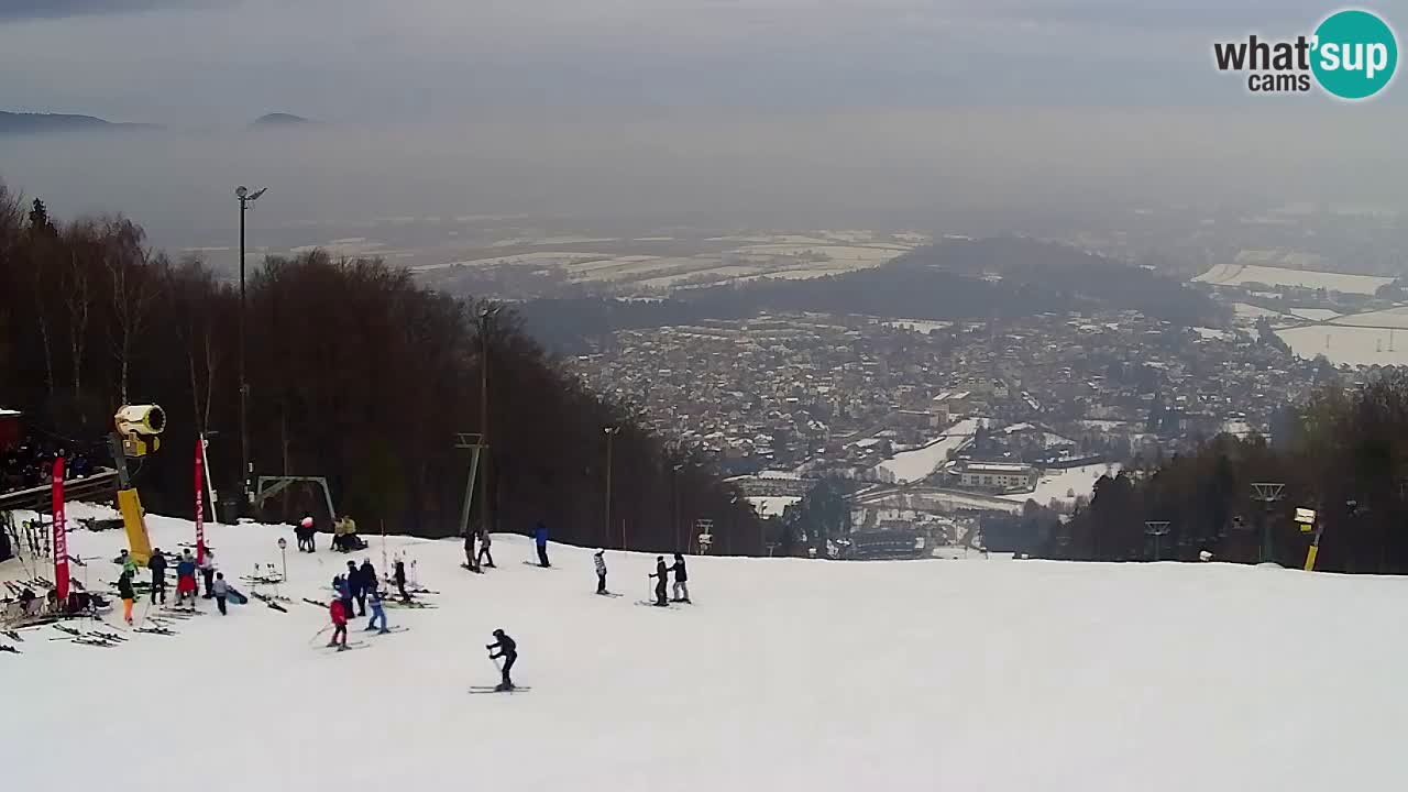 Webcam Pohorje Trikotna Jasa | Poštela