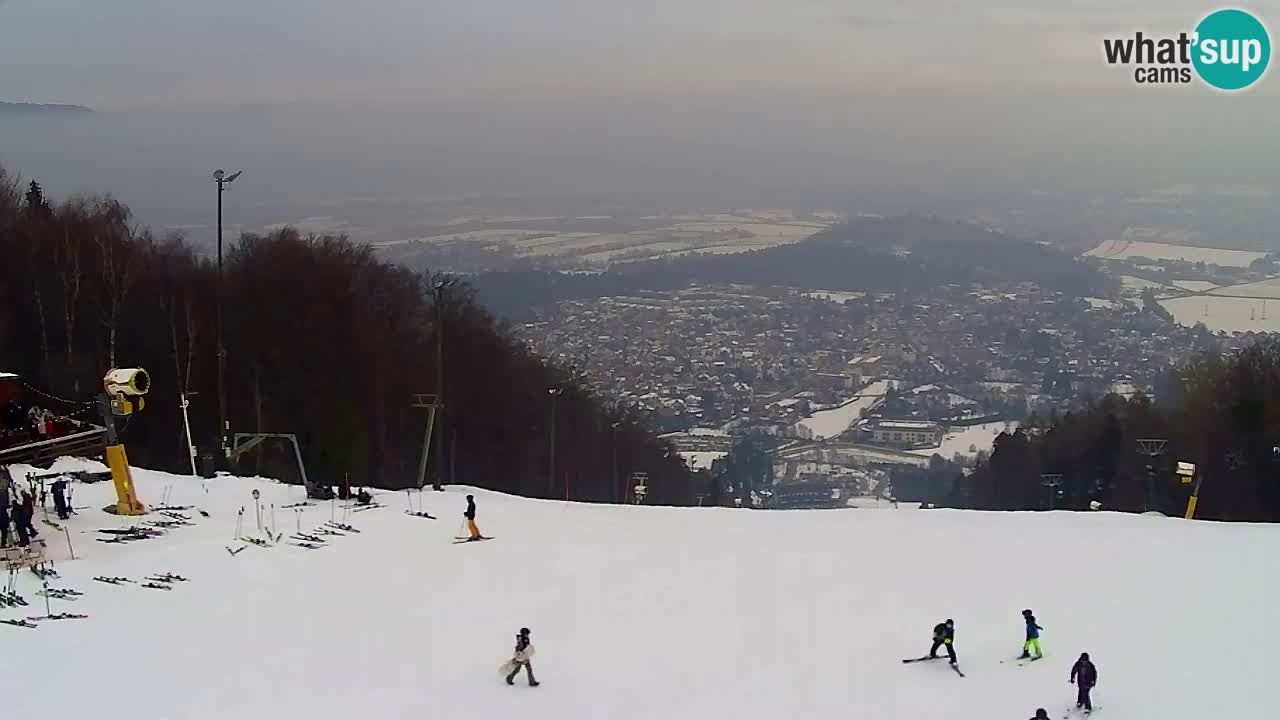 Webcam Pohorje Trikotna Jasa | Poštela