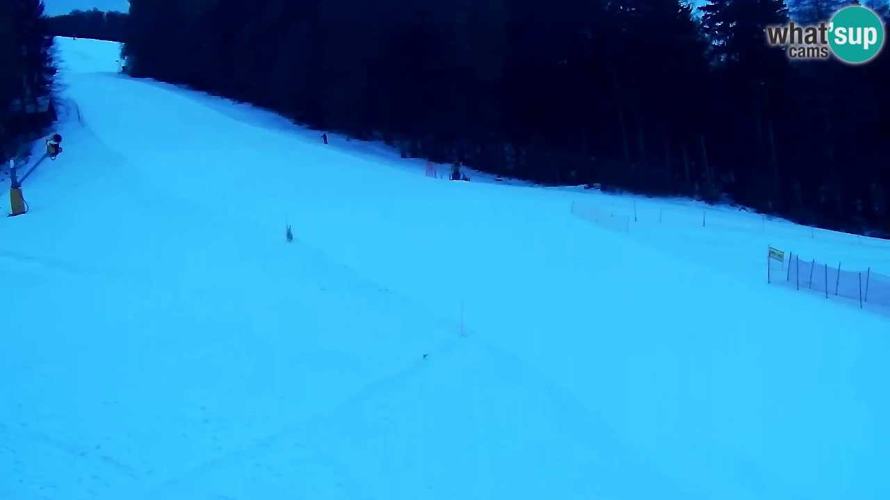 Webcam Pohorje Trikotna Jasa | Poštela