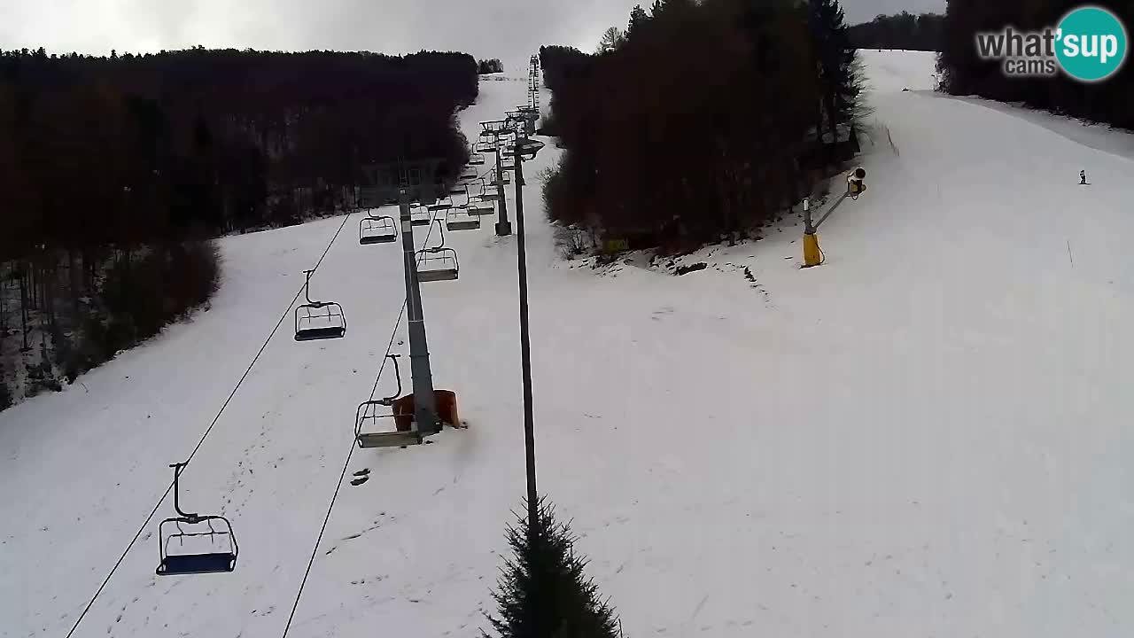 Webcam Pohorje Trikotna Jasa | Poštela