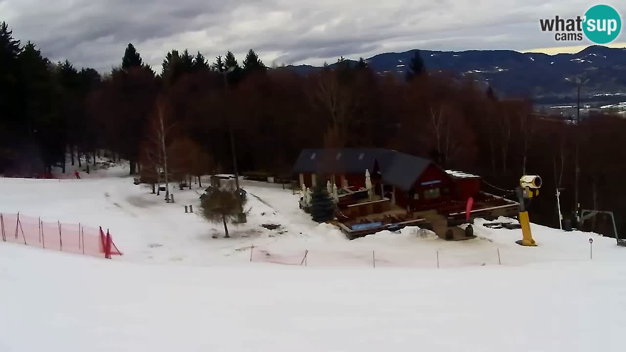 Webcam Pohorje Trikotna Jasa | Poštela