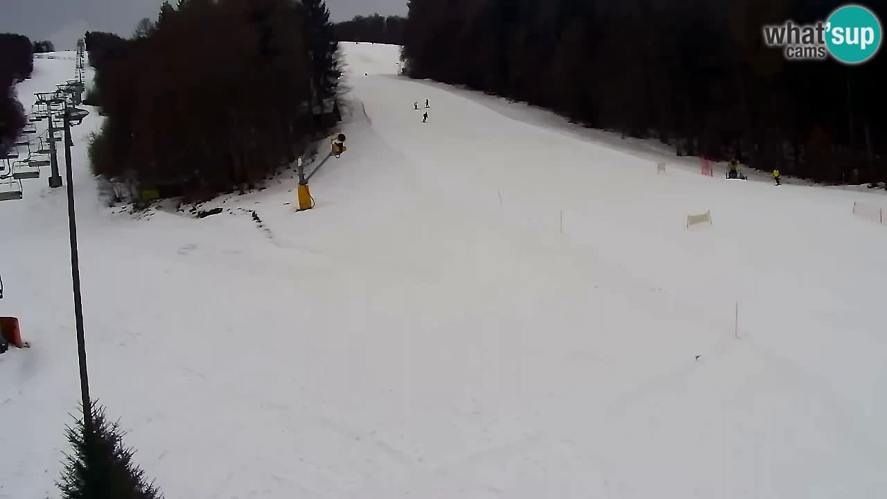 Webcam Pohorje Trikotna Jasa | Poštela