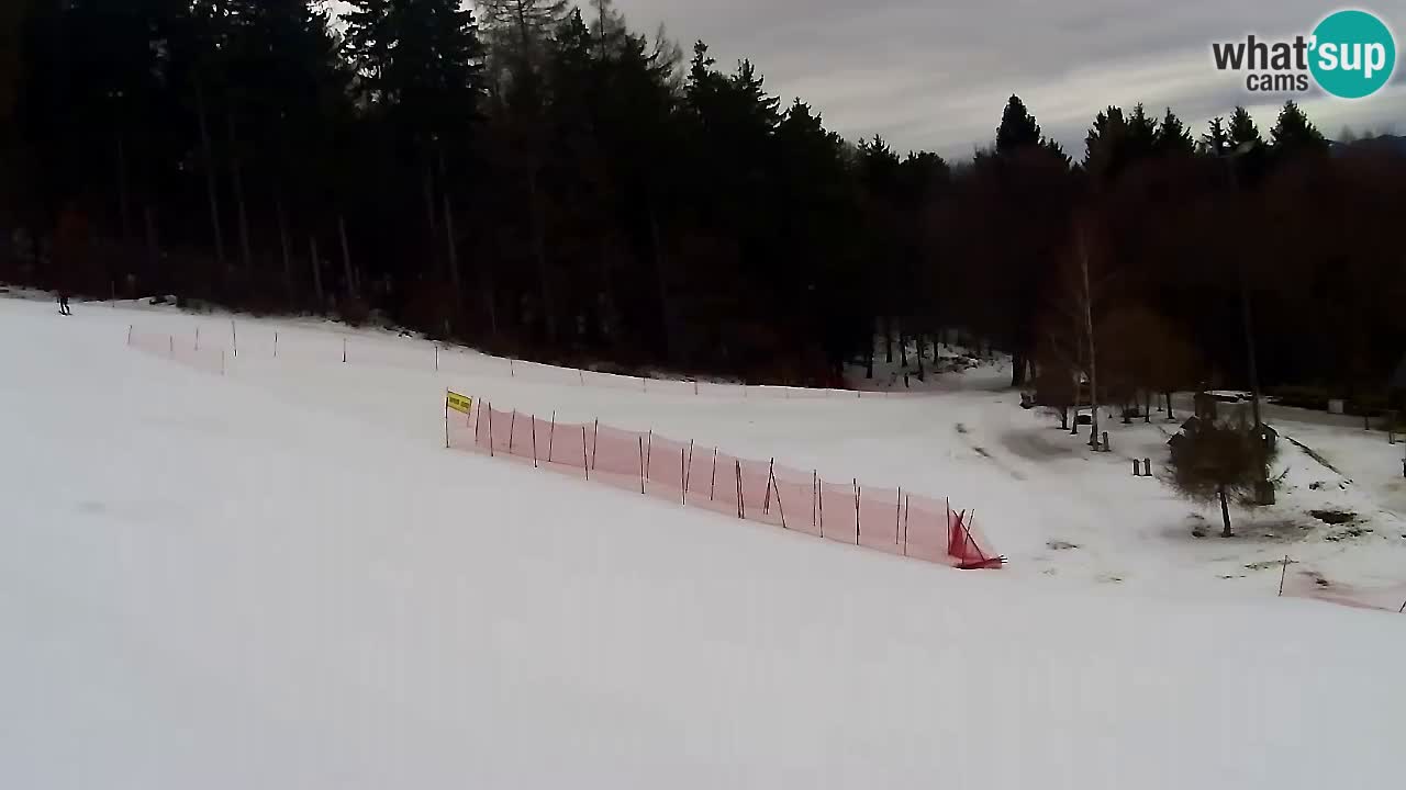 Webcam Pohorje Trikotna Jasa | Poštela