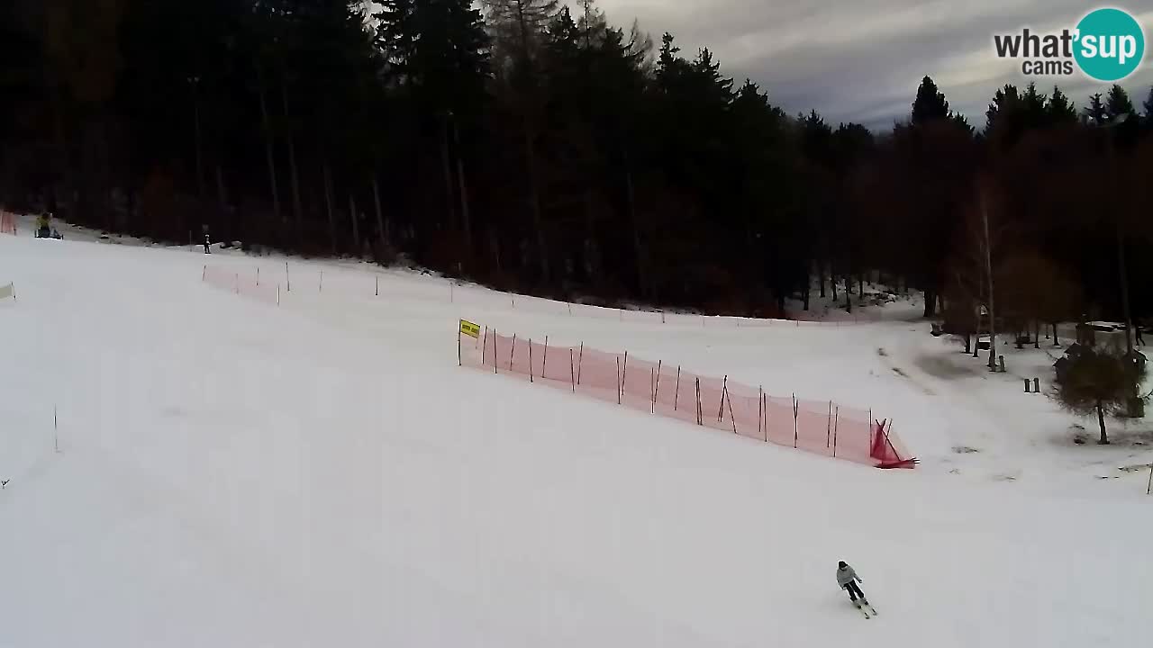 Webcam Pohorje Trikotna Jasa | Poštela