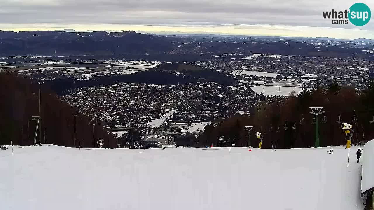 Webcam Pohorje Trikotna Jasa | Poštela