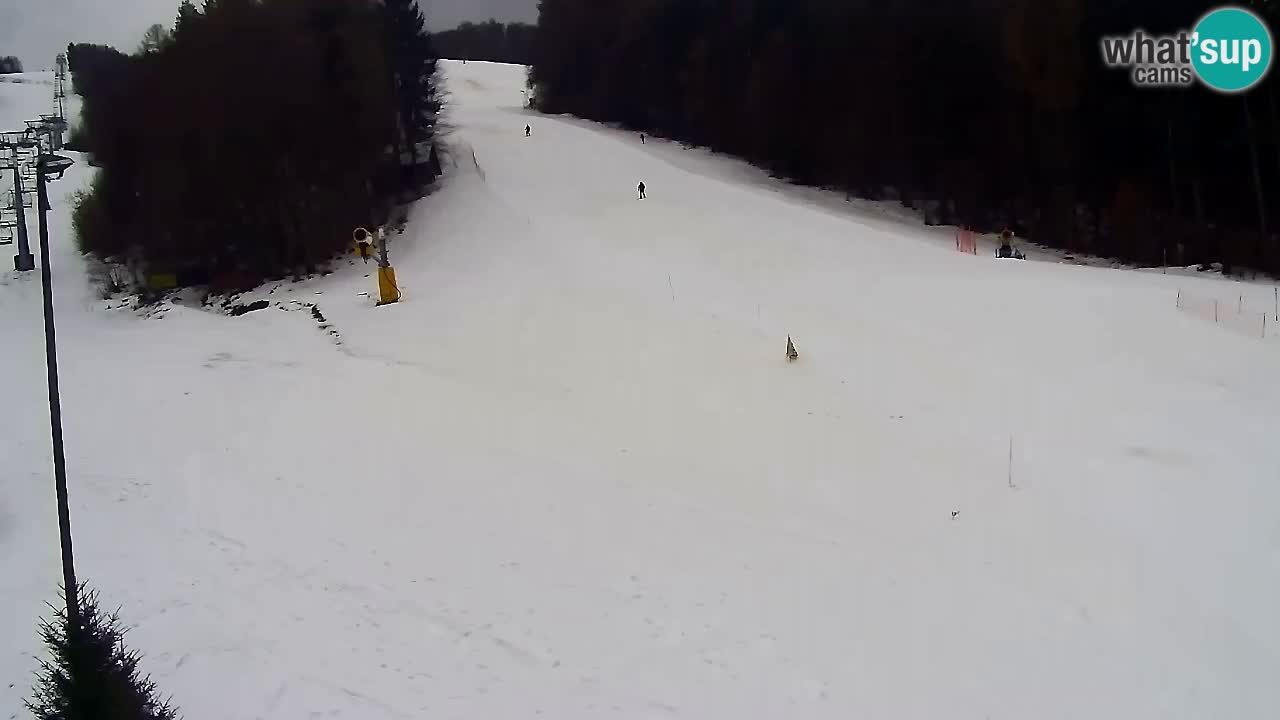 Webcam Pohorje Trikotna Jasa | Poštela