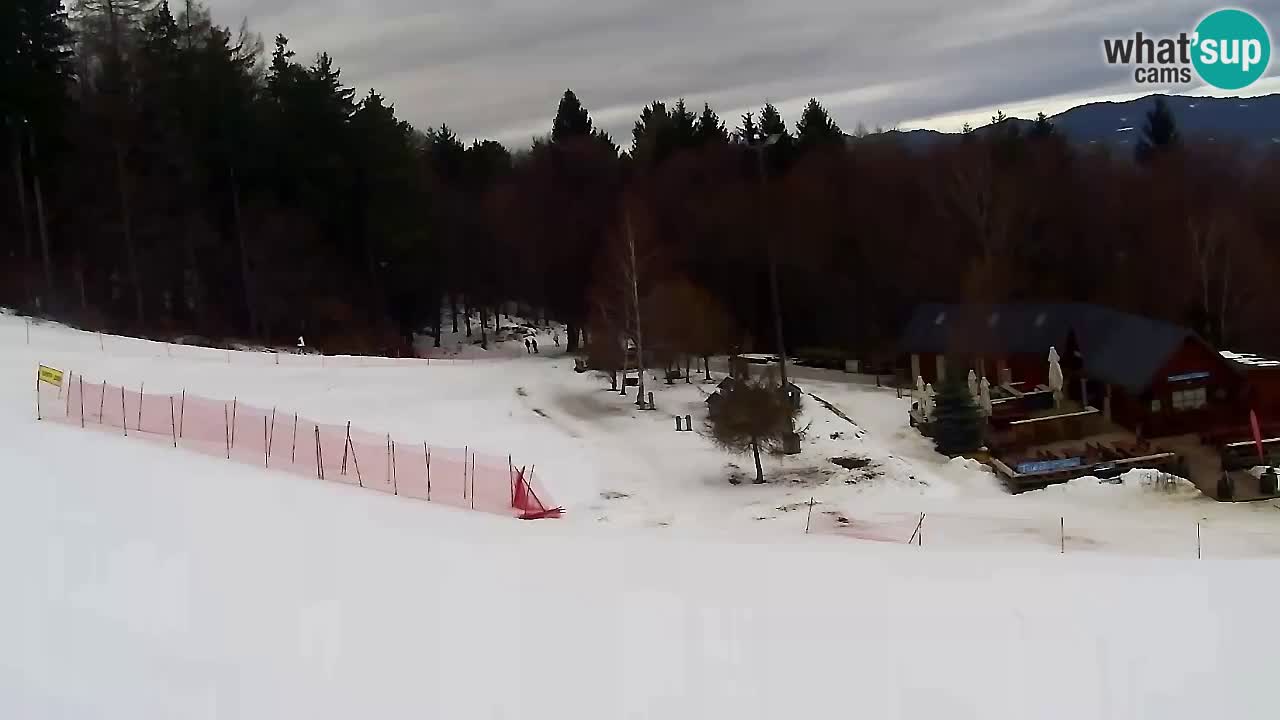 Webcam Pohorje Trikotna Jasa | Poštela