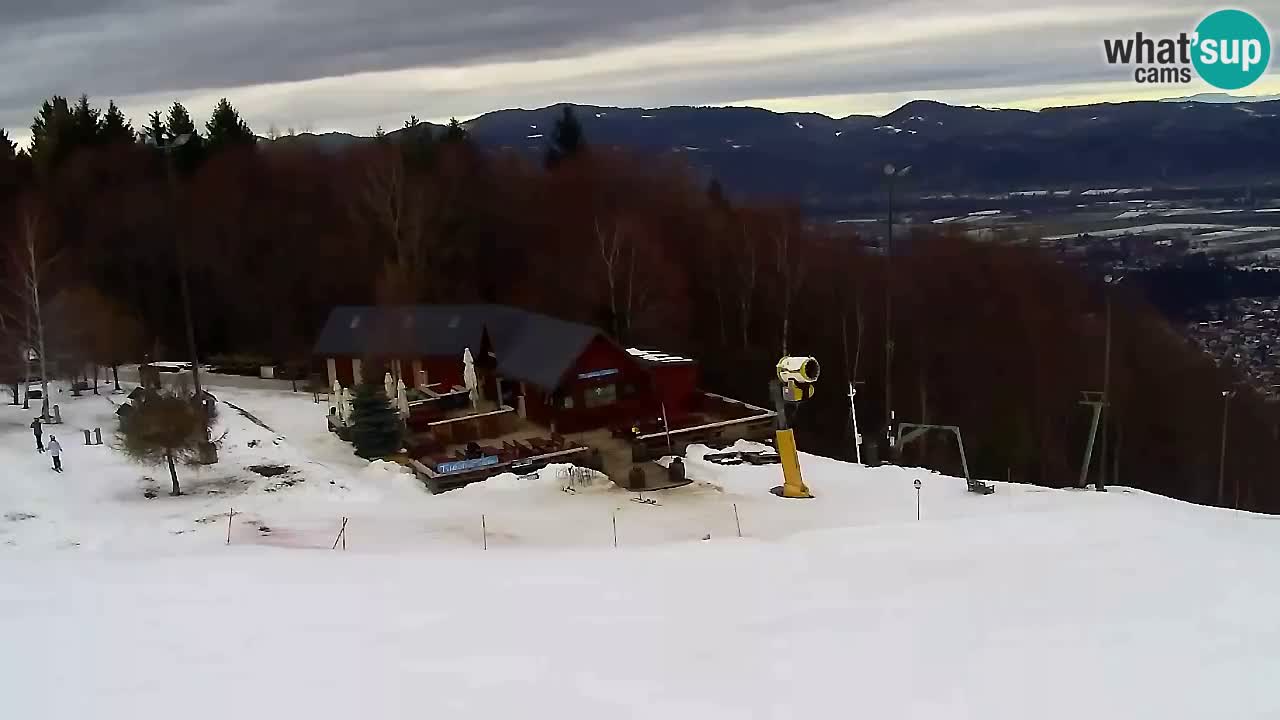 Spletna Kamera Pohorje Trikotna Jasa | Poštela