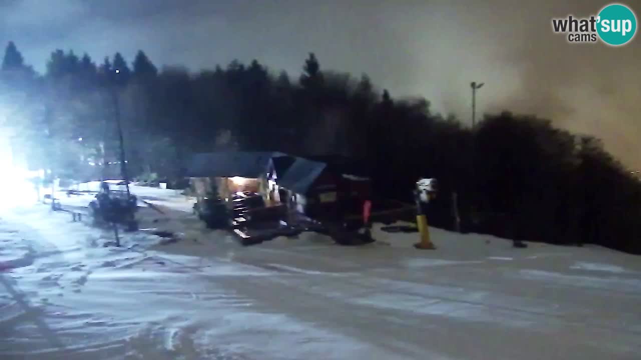 Webcam Pohorje Trikotna Jasa | Poštela