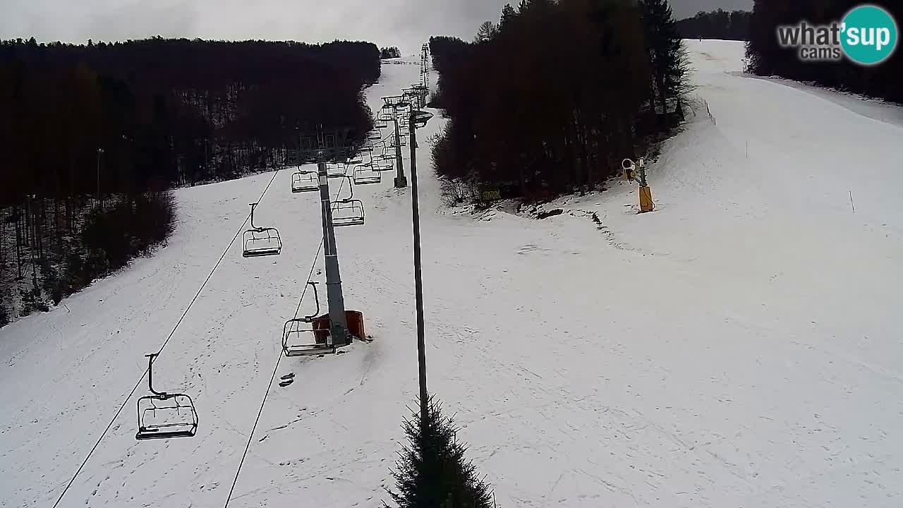 Webcam Pohorje Trikotna Jasa | Poštela