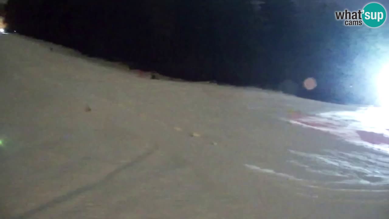 Webcam Pohorje Trikotna Jasa | Poštela