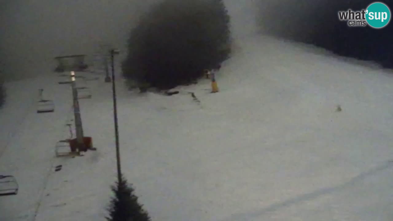 Webcam Pohorje Trikotna Jasa | Poštela