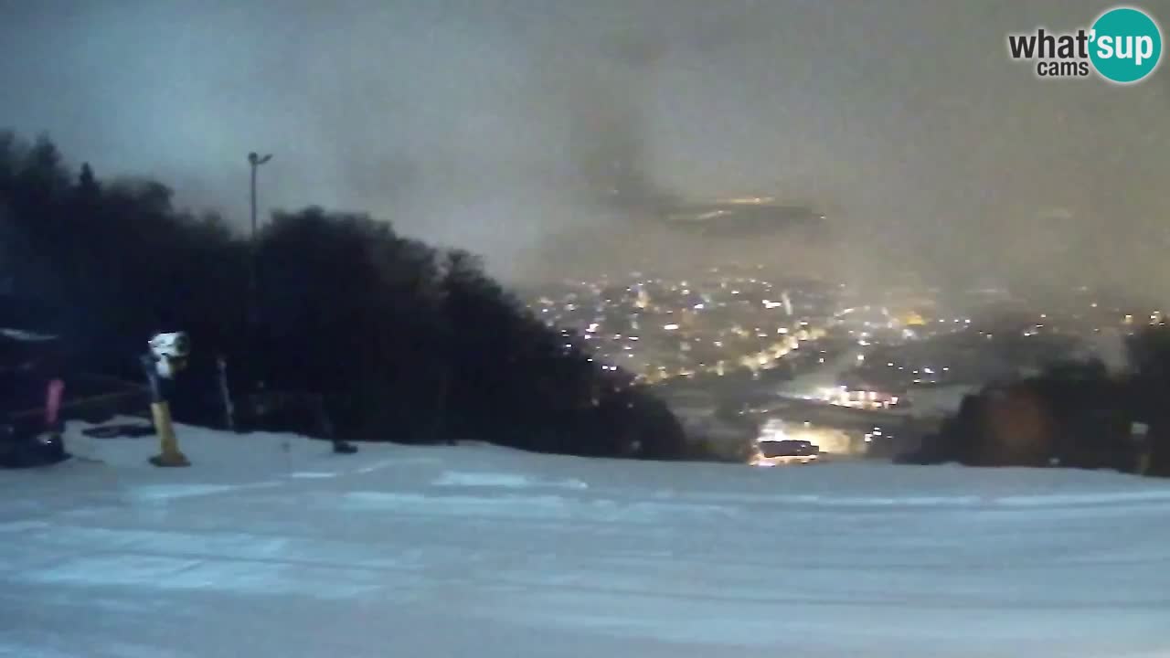 Webcam Pohorje Trikotna Jasa | Poštela