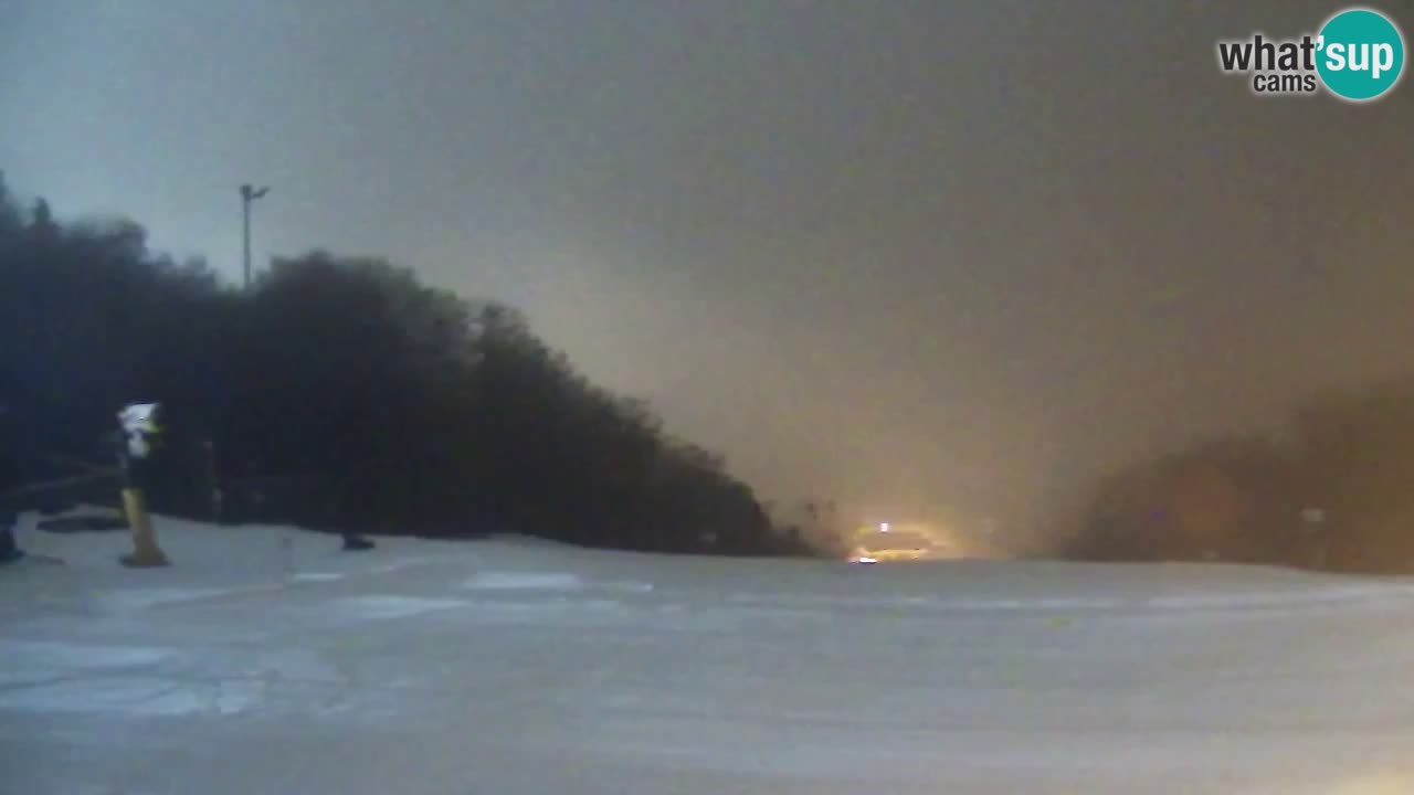 Webcam Pohorje Trikotna Jasa | Poštela