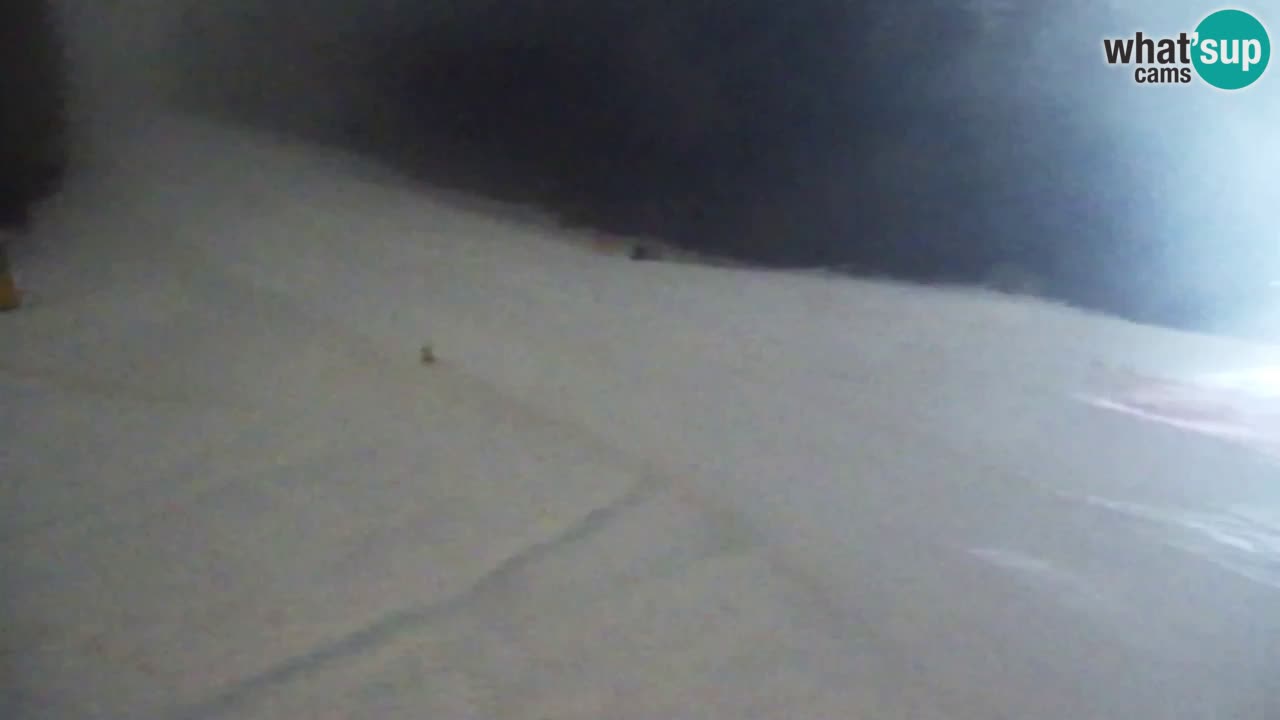 Web Camera Pohorje Trikotna Jasa | Poštela