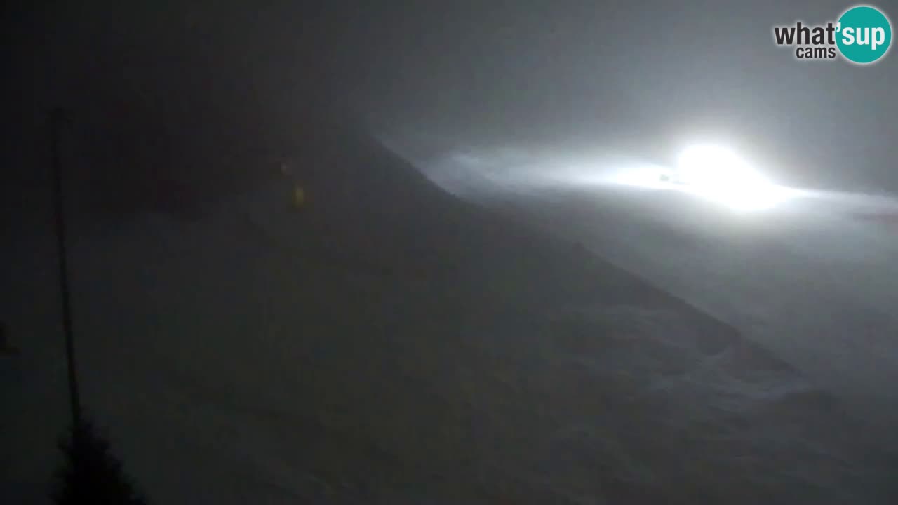 Webcam Pohorje Trikotna Jasa | Poštela